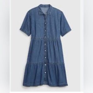 GAP Denim Dress